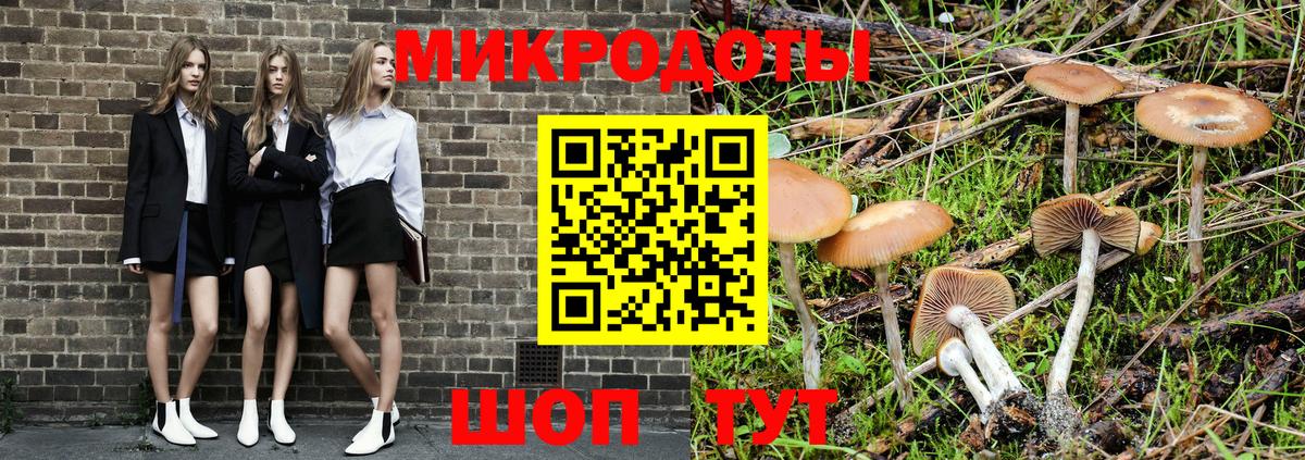 Галлюциногенные грибы GOLDEN TEACHER Белово